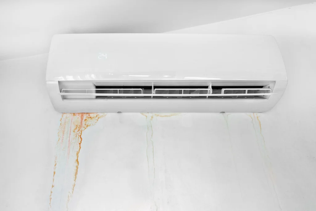 ac drain line cleaner